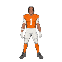 Lets Go Football Sticker by Panini America