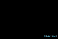 Miami Beach History GIF by Museum of Miami