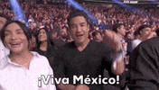 Viva Mexico Sport GIF by UFC