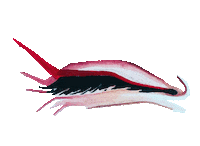 Eyes Flirt Sticker by Double Dutch
