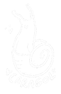 Snail Caracol Sticker