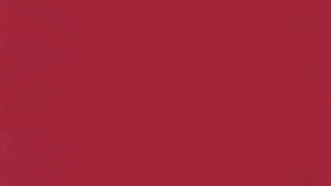 Charroslmb2025 GIF by Charros de Jalisco