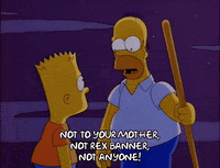 homer simpson GIF