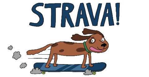 Skater Dog Sticker