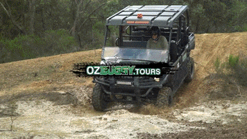 OzBuggy_Tours atv tours queensland buggy GIF