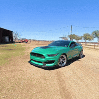 njv_photo ford mustang njvphoto gt350 shelby gt350 GIF