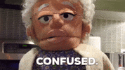What The Wtf GIF by Fluffy Friends