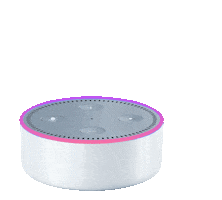 Amazon Echo Alexa Sticker by Fergie design