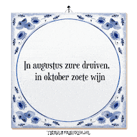 Nl Reflectie Sticker by Tegelspreuken.nl
