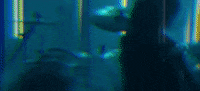 skillet legendary skillet GIF
