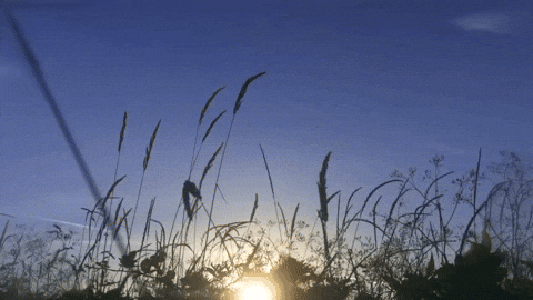 Love Song Lyrics GIF by Jade LeMac
