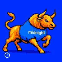 midnightnetwork crypto blockchain midnight privacy GIF