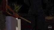 Michelle GIF by The Bachelorette