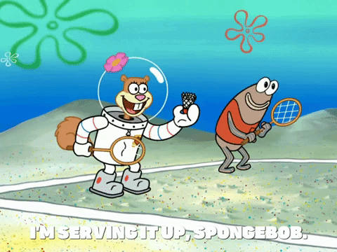 season 6 dear vikings GIF by SpongeBob SquarePants