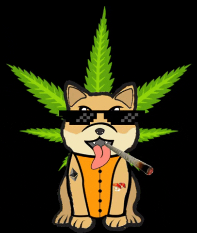 ShibaBoysEth giphygifmaker shibaboyseth shibaboys eth shiba doge bidnehhh joint glasses mushroom GIF