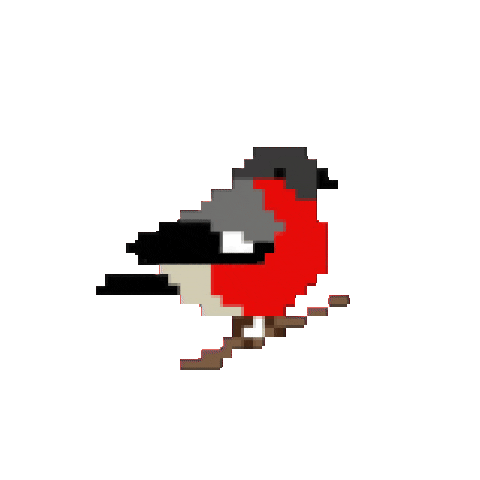 Bird Robin Sticker by Hunter