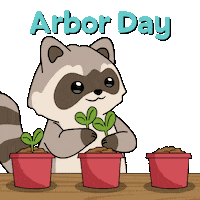 Arbor Day Bitcoin Sticker by Ordinary Frends