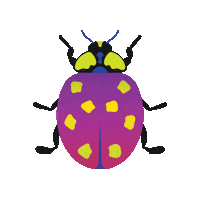 earth bug Sticker by sweetgreen