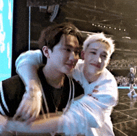 Stray Kids Kiss GIF