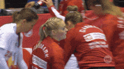 Denmark Encouraging GIF by EHF