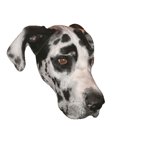 Gus Sticker by DopeDog