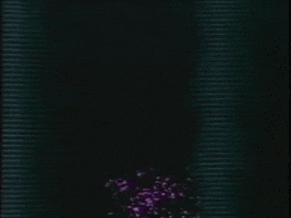 video art GIF by VOID PALACE