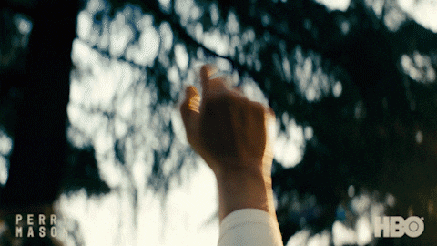 Tatiana Maslany Lawyer GIF by HBO
