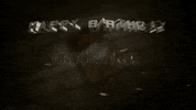 anushka shetty birthday GIF