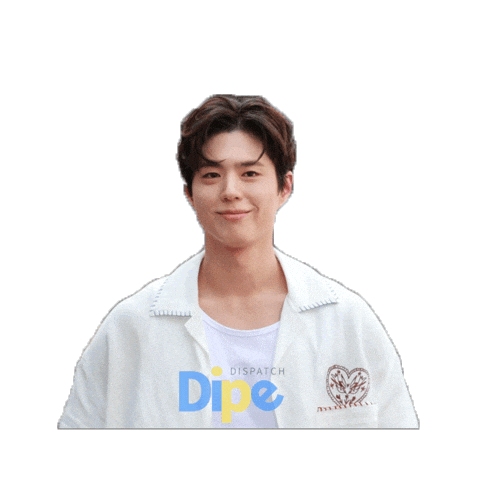 Korea Dicon Sticker by koreadispatch