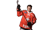 Celebrate National Team Sticker by Swiss Ice Hockey