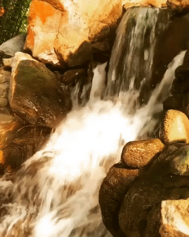 thizzzofficial hot summer water waterfall GIF