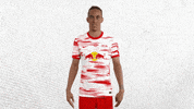 Champions League Yes GIF by RB Leipzig