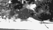 fish GIF