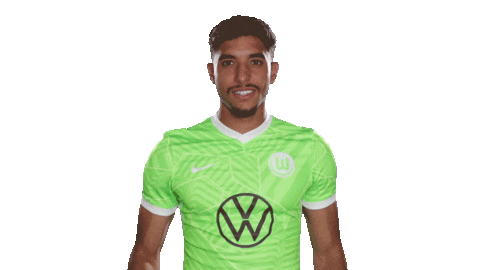 Lets Go Football Sticker by VfL Wolfsburg