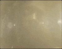 Gold GIF by Mereba