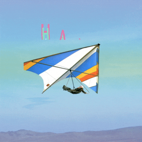 Shambhalahumanresources GIF by Shambhala Music Festival