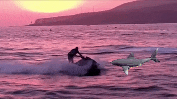 shark attack sea GIF by Tim Coronel