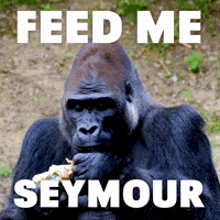 Hungry Feed Me GIF by Sealed With A GIF