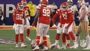 Super Bowl Sport GIF by NFL