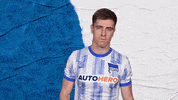 Bundesliga Berlin GIF by Hertha BSC