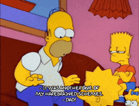 homer simpson episode 10 GIF