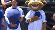 Chicago Cubs Sport GIF by MLB