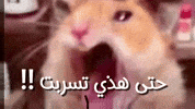 ضحك GIF