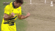 cricketcomau celebration australia cricket bowling GIF