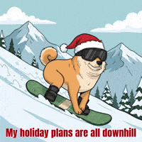 Christmas Snow GIF by Doge Pound