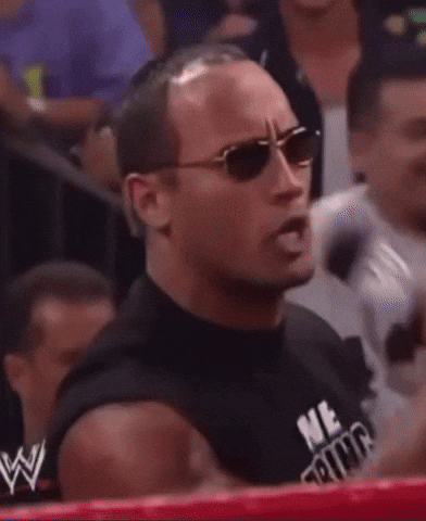 davidhills wwe the rock shut up bitch GIF
