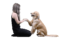 country music love Sticker by Tenille Arts