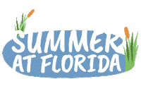 Summer Time Sunshine Sticker by University of Florida