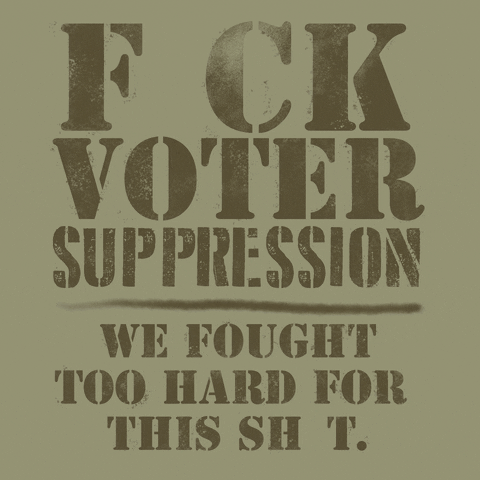 Voting Team Usa GIF by Creative Courage