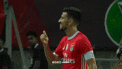 Celebrate Sl Benfica GIF by Sport Lisboa e Benfica